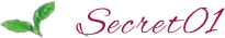 secret01