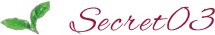 secret01