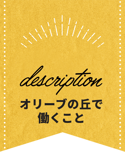仕事の紹介
